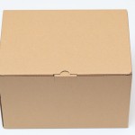 เครื่องพิมพ์ใบเสร็จ GP-80250 USB/LAN/SERIAL Port.