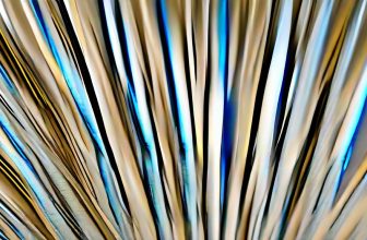 Network Interface Teaming NIC Bonding ทำยังไง