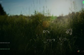 Fiber Optic Patch Cord LC vs SC ใช้หัวต่อแบบไหน