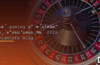 โน๊ตบุ๊ค ยี่ห้อไหนดี 2568 แนะนำตามการใช้งาน ตามงบ