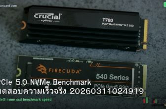 PCIe 5.0 NVMe Benchmark ทดสอบความเร็วจริง 20260311024919