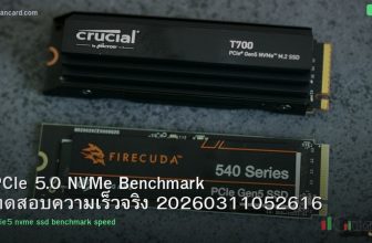 PCIe 5.0 NVMe Benchmark ทดสอบความเร็วจริง 20260311052616
