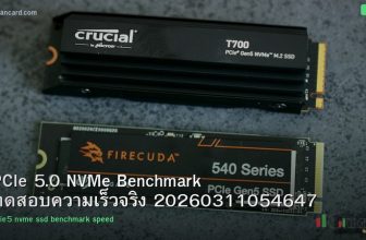 PCIe 5.0 NVMe Benchmark ทดสอบความเร็วจริง 20260311054647