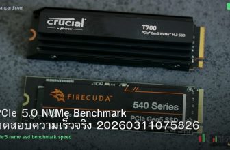 PCIe 5.0 NVMe Benchmark ทดสอบความเร็วจริง 20260311075826