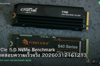 PCIe 5.0 NVMe Benchmark ทดสอบความเร็วจริง 20260312161213