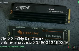 PCIe 5.0 NVMe Benchmark ทดสอบความเร็วจริง 20260313150246