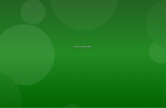 Python Automation สร้าง Bot อัตโนมัติสำหรับงาน IT