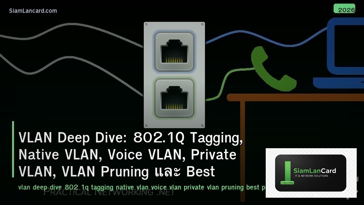 VLAN Deep Dive: 802.1Q Tagging, Native VLAN, Voice VLAN, Private VLAN, VLAN Prun