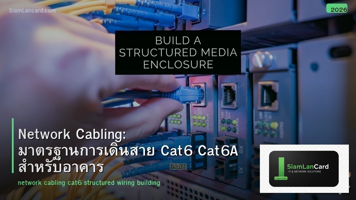 Network Cabling: มาตรฐานการเดินสาย Cat6 Cat6A สำหรับอาคาร