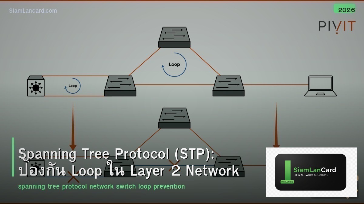 Spanning Tree Protocol (STP): ป้องกัน Loop ใน Layer 2 Network