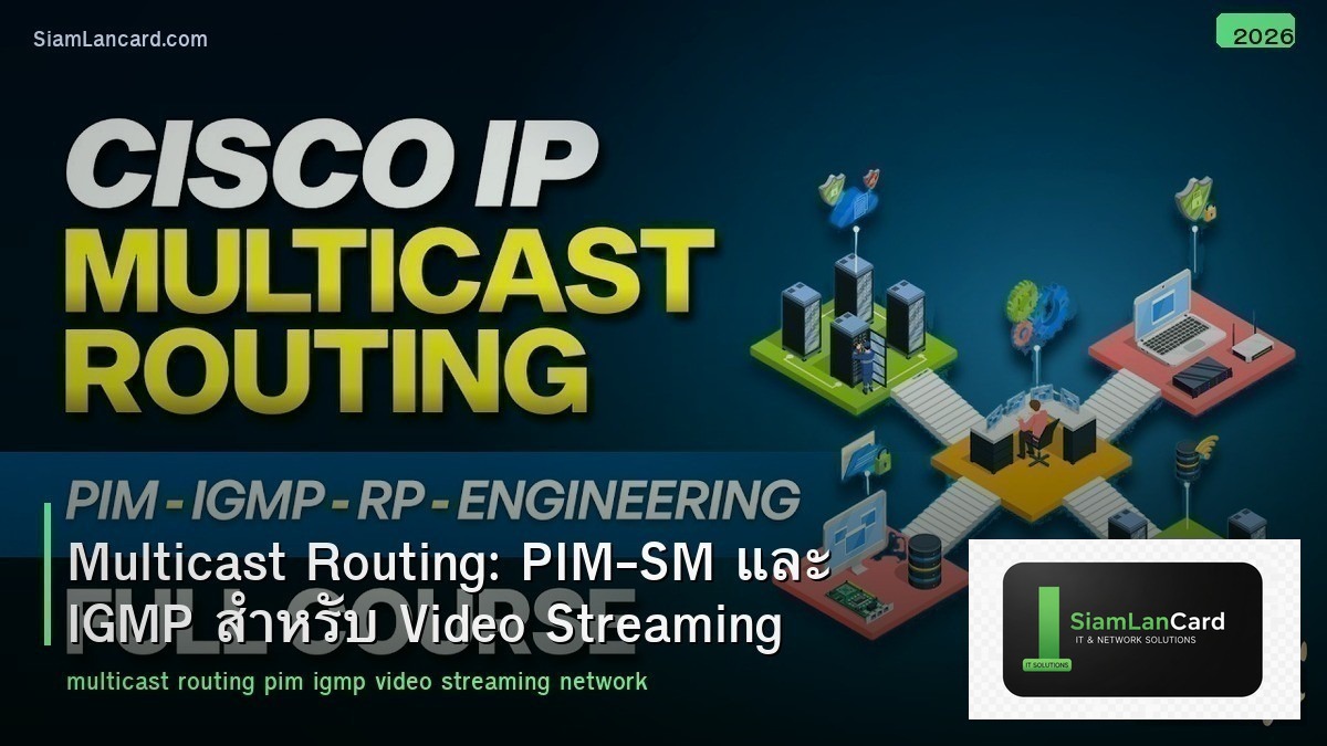 Multicast Routing: PIM-SM และ IGMP สำหรับ Video Streaming