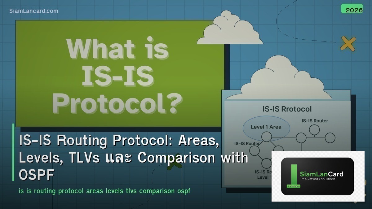 IS-IS Routing Protocol: Areas, Levels, TLVs และ Comparison with OSPF