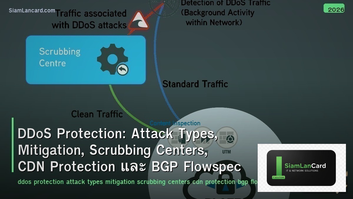DDoS Protection: Attack Types, Mitigation, Scrubbing Centers, CDN Protection และ