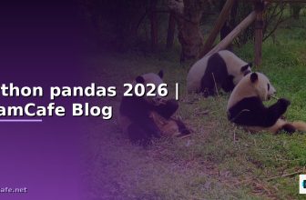 pandas python คือ — คู่มือฉบับสมบูรณ์ 2026 | SiamCafe Blog