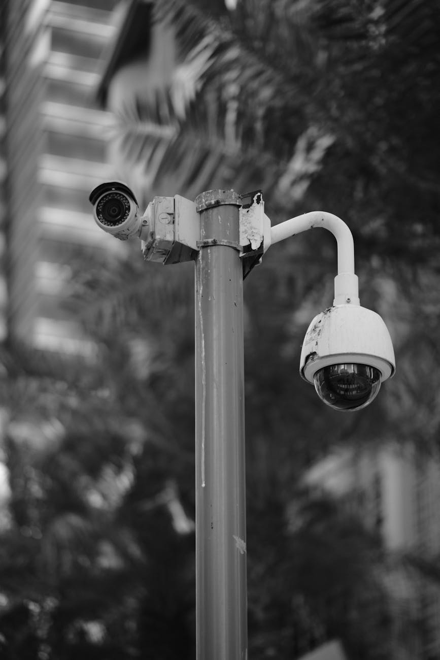 CCTV IP Camera คู่มือออกแบบระบบกล้องวงจรปิดผ่าน Network สำหรับองค์กร — IP Camera vs Analog Camera | Forex คู่มือ iCafeForex