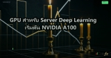 GPU สำหรับ Server Deep Learning เริ่มต้น NVIDIA A100