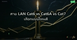 สาย LAN Cat6 vs Cat6A vs Cat7 เลือกแบบไหนดี
