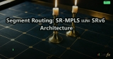 DDoS Protection: Detection, Mitigation และ Architecture Design