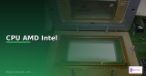 การ์ดจอ (GPU) เลือกซื้อยังไง 2568 NVIDIA vs AMD เปรียบเทียบ