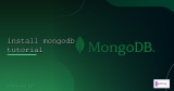MongoDB Atlas คู่มือใช้งาน Cloud Database