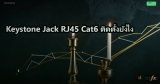 Keystone Jack RJ45 Cat6 ติดตั้งยังไง