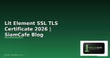 SSL/TLS Certificate: ใบรับรองดิจิทัลคืออะไร ทำไมเว็บต้องมี