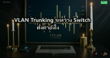 VLAN Trunking ระหว่าง Switch ตั้งค่ายังไง