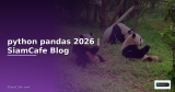 pandas python คือ — คู่มือฉบับสมบูรณ์ 2026 | SiamCafe Blog