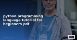 python programming language tutorial pdf download