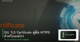 SSL TLS Certificate คู่มือ HTTPS สำหรับองค์กร