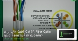 สาย LAN Cat6 Cat6A Fiber Optic คู่มือเลือกสายสำหรับองค์กร