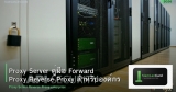 Proxy Server คู่มือ Forward Proxy Reverse Proxy สำหรับองค์กร