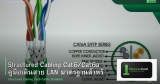 Structured Cabling Cat6/Cat6a คู่มือเดินสาย LAN มาตรฐานสำหรับองค์กร