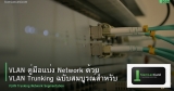 VLAN คู่มือแบ่ง Network ด้วย VLAN Trunking ฉบับสมบูรณ์สำหรับองค์กร