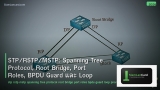 STP/RSTP/MSTP: Spanning Tree Protocol, Root Bridge, Port Roles, BPDU Guard และ Loop Prevention