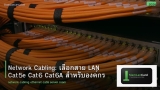 Network Cabling: เลือกสาย LAN Cat5e Cat6 Cat6A สำหรับองค์กร