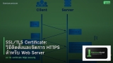SSL/TLS Certificate: วิธีติดตั้งและจัดการ HTTPS สำหรับ Web Server