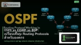 OSPF vs EIGRP vs BGP: เปรียบเทียบ Routing Protocols สำหรับองค์กร