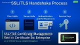 SSL/TLS Certificate Management: จัดการ Certificate ใน Enterprise