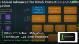 DDoS Protection: Mitigation Techniques และ Best Practices