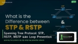Spanning Tree Protocol: STP, RSTP, MSTP และ Loop Prevention