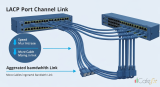 Link Aggregation (LACP): รวมพอร์ต Switch เพิ่มแบนด์วิดท์และ Redundancy