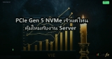 PCIe 5.0 NVMe Benchmark ทดสอบความเร็วจริง 20260309172613