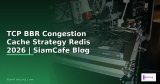 TCP BBR Congestion Docker Container Deploy — คู่มือฉบับสมบูรณ์ 2026 | SiamCafe Blog