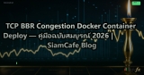 TCP BBR Congestion Docker Container Deploy — คู่มือฉบับสมบูรณ์ 2026 | SiamCafe Blog