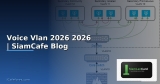VLAN Deep Dive: 802.1Q Tagging, Native VLAN, Voice VLAN, Private VLAN, VLAN Pruning และ Best Practices